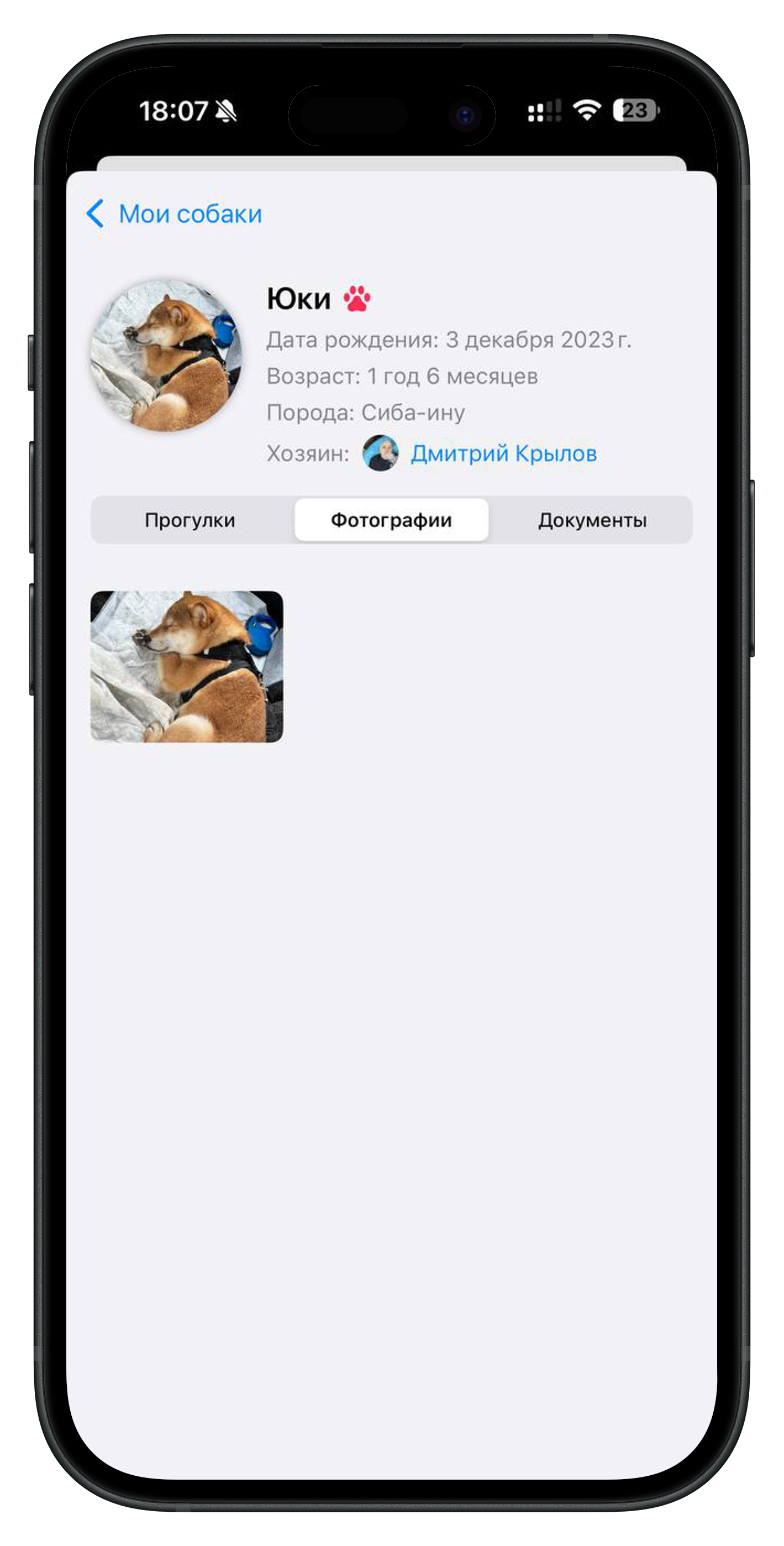 App Screenshot 2
